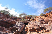 The Gully trail, Mt Augustus circuit